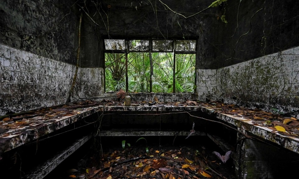 Đảo rắn độc - Địa ngục khét tiếng của các tù nhân nguy hiểm - 3