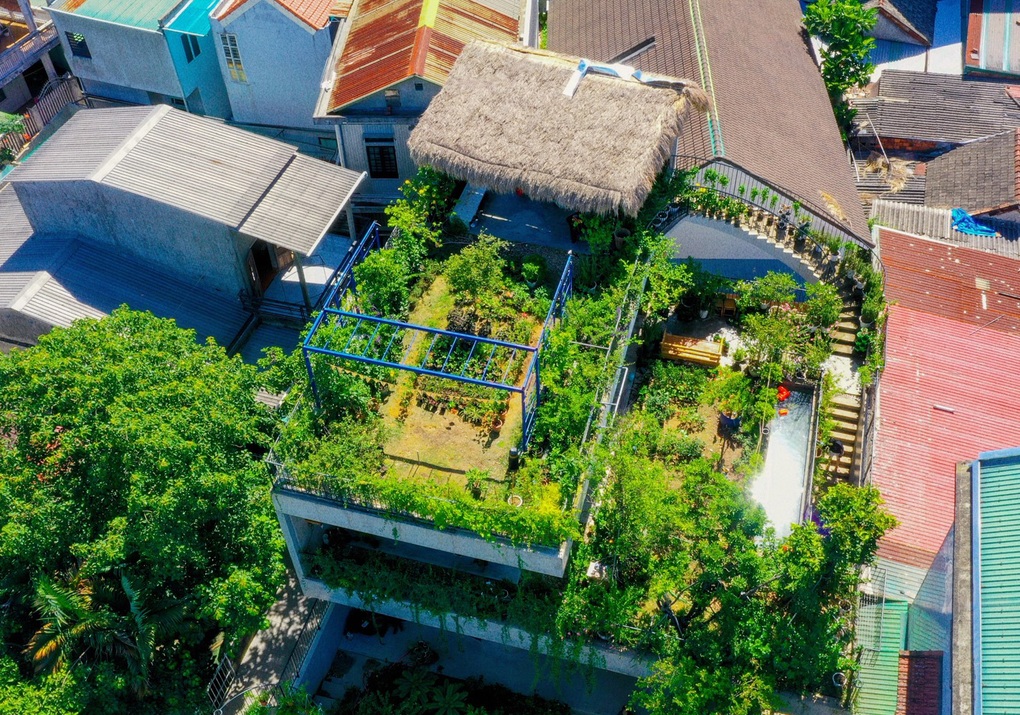 Ông bố khùng đưa bể bơi, vườn cây lên mái nhà 250m2 thay cho máy điều hòa - 1 Ông bố khùng đưa bể bơi, vườn cây lên mái nhà 250m2 thay cho máy điều hòa - 1