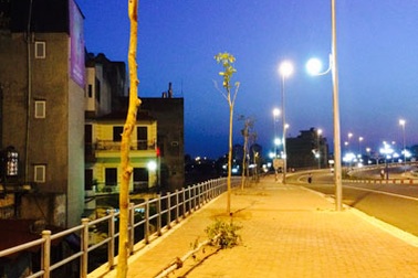 Vụ cây xanh chết khô bên cầu Nhật Tân: Trồng lại hàng cây mới