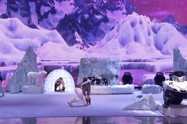 Nhóm xiếc cún cưng gia đình Pompeyo phải dừng chân