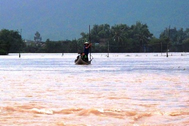 Bình Định lũ chồng lũ, người dân phải di dời khẩn cấp