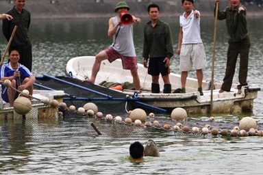 Phát hiện thêm một cụ Rùa ở hồ Gươm?