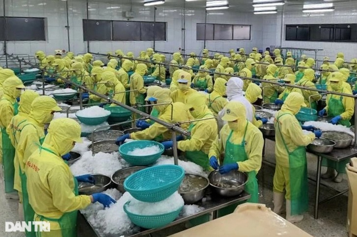 Cà Mau triển khai chính sách hỗ trợ tiền thuê nhà cho người lao động - 1 Cà Mau triển khai chính sách hỗ trợ tiền thuê nhà cho người lao động - 1