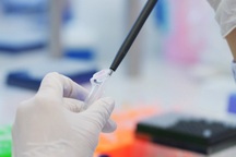 Hội đồng Đạo đức quốc gia gồm những ai, hoạt động ra sao?