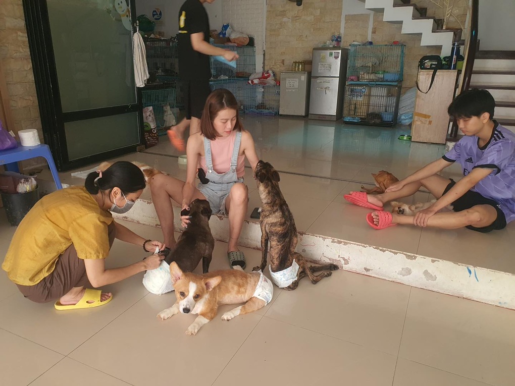 Bị tố phát tán mùi hôi, nhóm cứu hộ chó mèo cầu cứu vì phải chuyển nhà - 1 Bị tố phát tán mùi hôi, nhóm cứu hộ chó mèo cầu cứu vì phải chuyển nhà - 1