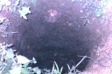 Bi kịch tàn nhẫn của người chồng ghen tuông mù quáng