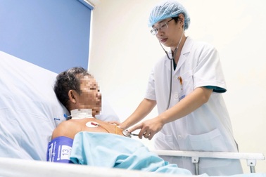 Cứu sống bệnh nhân nguy kịch khi bị ong vò vẽ đốt hơn 30 vết