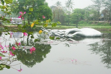 Tò mò đi xem “thủy quái” bỗng xuất hiện giữa hồ