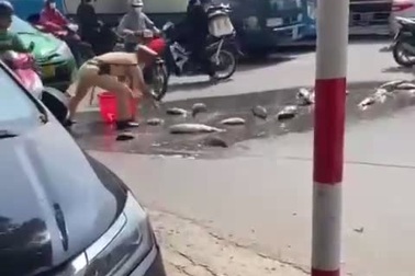 Chiến sĩ CSGT nhặt cá giúp người dân