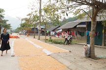 Dân nghèo lũ lượt “chạy trốn” khỏi nhà tái định cư: Bí ẩn gì phía sau các gói thầu?