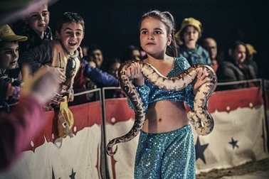 Hình ảnh chân thực về cuộc sống của những em bé trong gánh xiếc