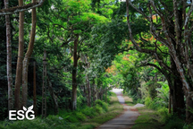 Việt Nam nhận 51,5 triệu USD từ World Bank do giảm phát thải carbon