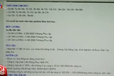 Xuất hiện nhiều website lừa đảo tuyển dụng việc làm