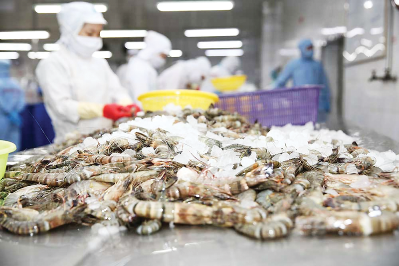 Mỹ thu hồi khẩn tôm đông lạnh nhập khẩu vì lo nhiễm phóng xạ - 1