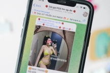 Telegram - "Vùng đất màu mỡ" cho lừa đảo, cờ bạc và mại dâm tại Việt Nam