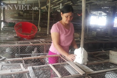 Người đàn bà dựng cơ đồ với ...ngàn con thỏ