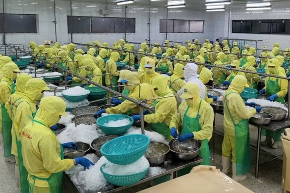Cà Mau chi hơn 350 tỷ đồng giải quyết việc làm cho gần 40.000 lao động - 1 Cà Mau chi hơn 350 tỷ đồng giải quyết việc làm cho gần 40.000 lao động - 1
