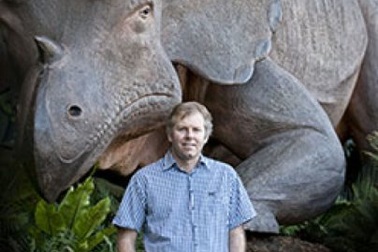 Động vật có vú chỉ đa dạng sau khi khủng long tuyệt chủng