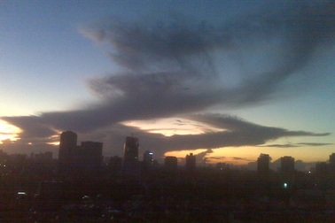 Chùm ảnh: Chim Lạc xuất hiện trên bầu trời Hà Nội