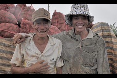 Hành trình khoai tây trên đất cao nguyên, hay câu chuyện có hậu về niềm tin đơm hoa thành trái ngọt