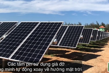 Đưa nhà máy điện mặt trời 900 tỷ vào sử dụng