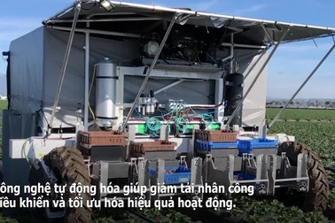 Cận cảnh robot hái dâu tây mới, có "bộ não" chạy bằng trí tuệ nhân tạo
