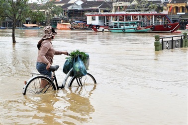 Canada hỗ trợ 700.000 CAD giúp miền Trung khắc phục hậu quả thiên tai