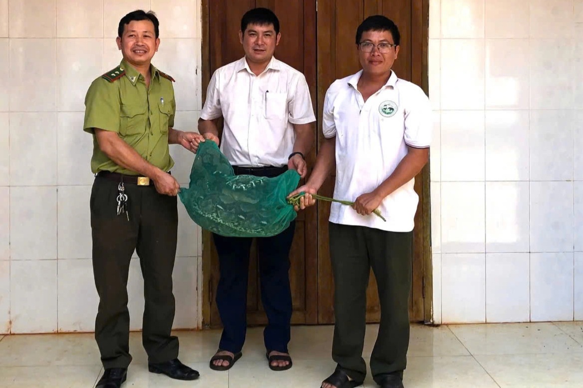 Trăn quý hiếm bò vào nhà dân bắt gà - 1