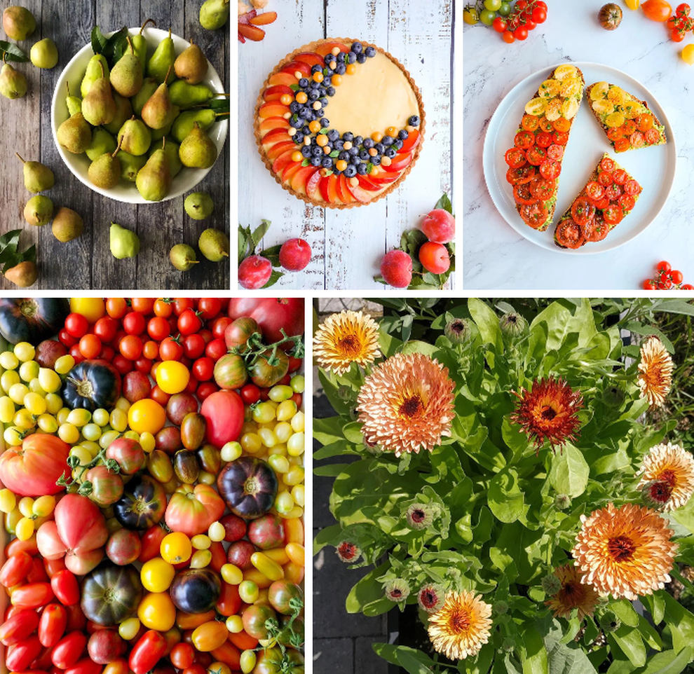 Stress vì công việc, chàng trai lột xác sân thành vườn rau sạch - 10