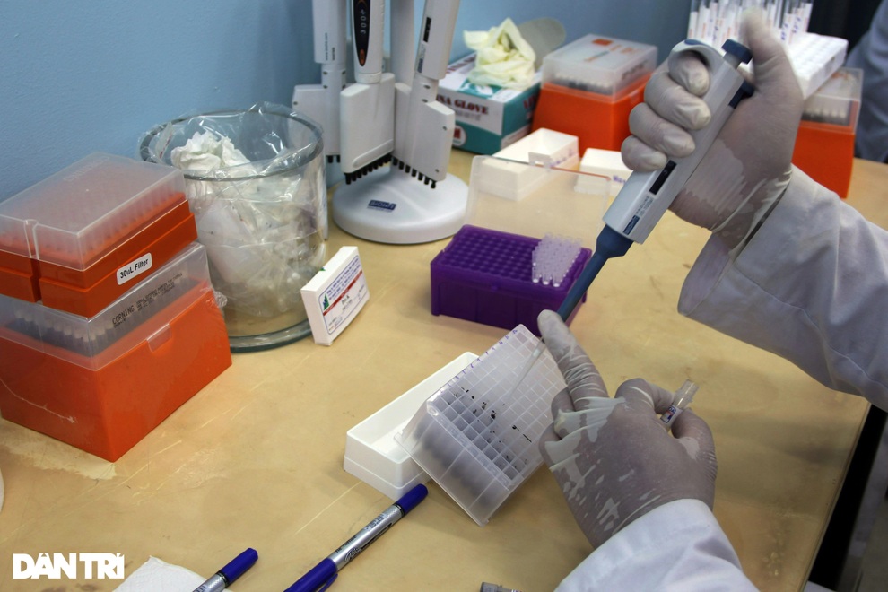 Phú Yên: 3 ca tử vong đều có bệnh nền kết hợp Covid-19 - 3 Phú Yên: 3 ca tử vong đều có bệnh nền kết hợp Covid-19 - 3