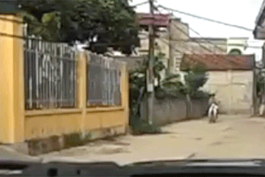 Hãy dạy trẻ em cách ra đường an toàn