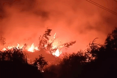 Hàng trăm người chữa cháy rừng ở Nghệ An