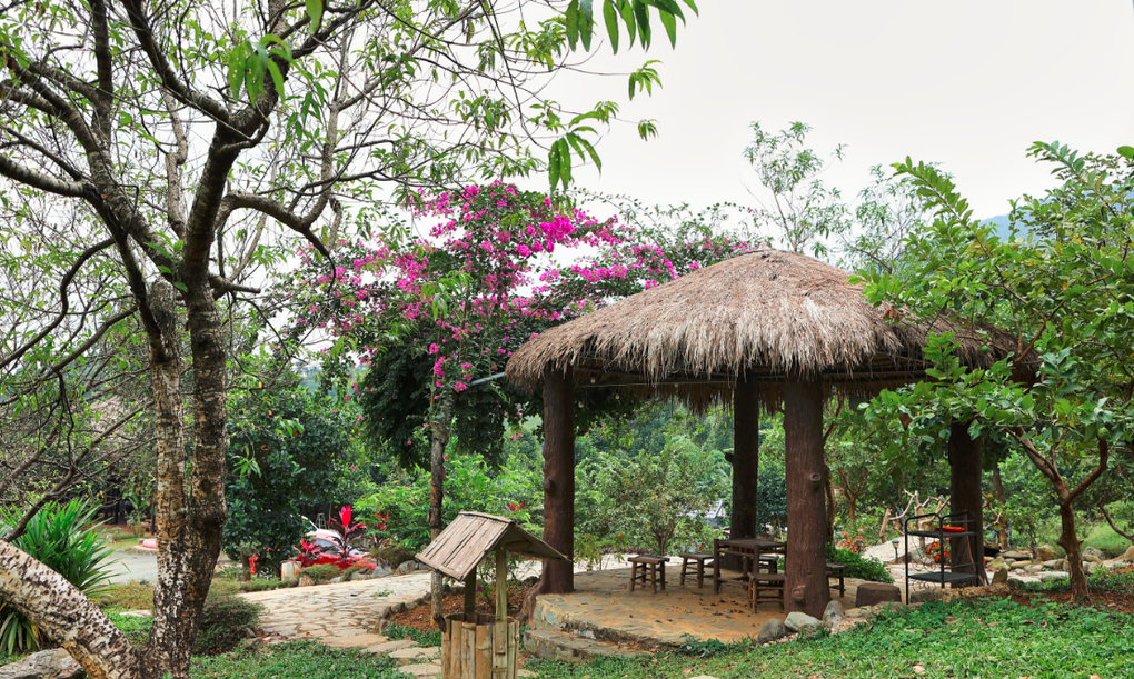 Đã mắt ngắm nhà vườn rộng 12.000m2 của ca sĩ Việt Hoàn - 6 Đã mắt ngắm nhà vườn rộng 12.000m2 của ca sĩ Việt Hoàn - 6