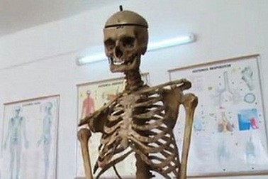 Hiệu trưởng tặng trường... bộ hài cốt của chính mình để dạy sinh học