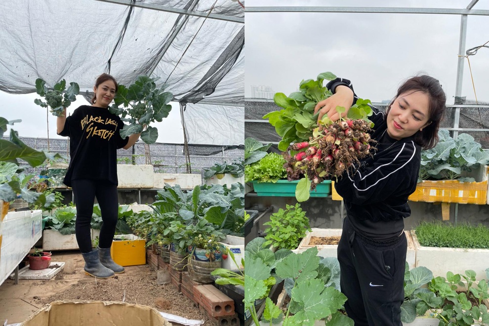Khu vườn bội thu rau trái trên nóc nhà của gia đình ở Hà Nội - 12 Khu vườn bội thu rau trái trên nóc nhà của gia đình ở Hà Nội - 12