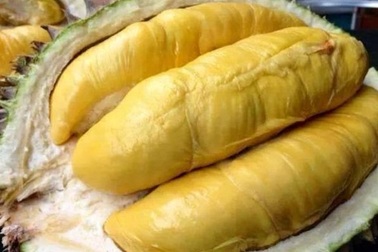 Mách bạn cách chọn sầu riêng ngon, nhiều cơm ít hạt