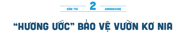 Báu vật hơn trăm năm tuổi độc nhất ở đồng bằng - 5 Báu vật hơn trăm năm tuổi độc nhất ở đồng bằng - 5