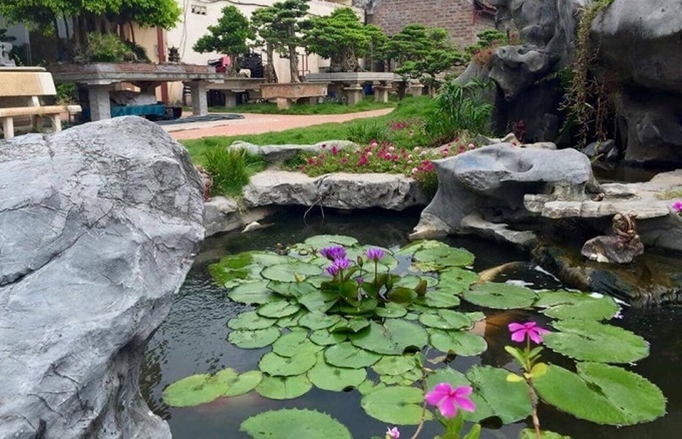 Khu vườn rộng 2000 m2 đẹp như tranh, sở hữu nhiều cây bạc tỷ ở Hà Nội - 11 Khu vườn rộng 2000 m2 đẹp như tranh, sở hữu nhiều cây bạc tỷ ở Hà Nội - 11