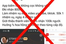 Kiếm tiền trên mạng: Coi chừng sập bẫy