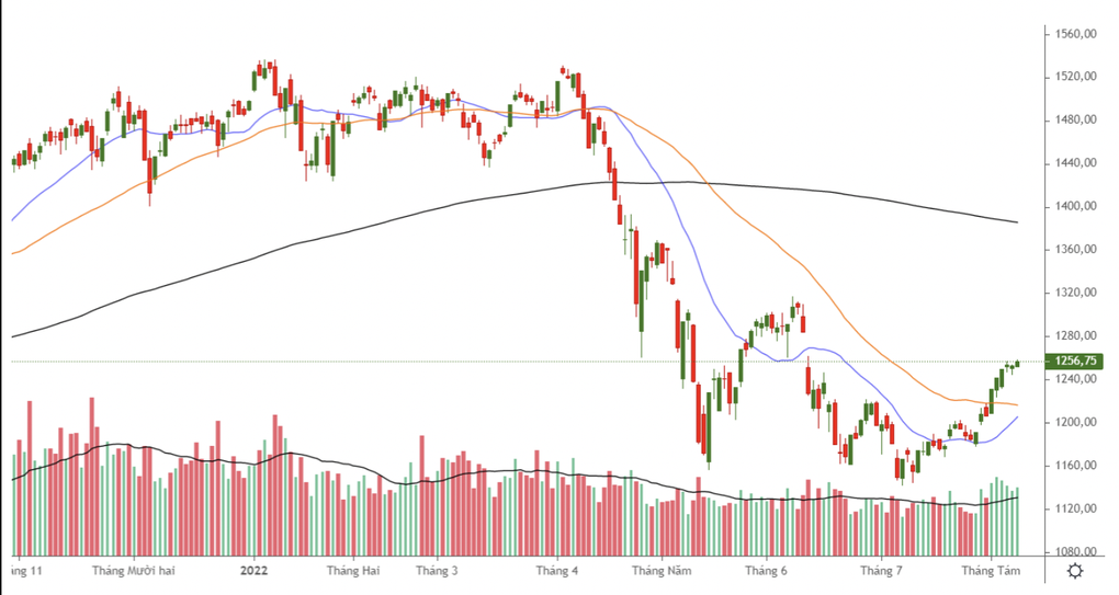 Chứng khoán đi lên trong nghi ngờ: Tiếp tục ôm tiền hay giải ngân? - 1