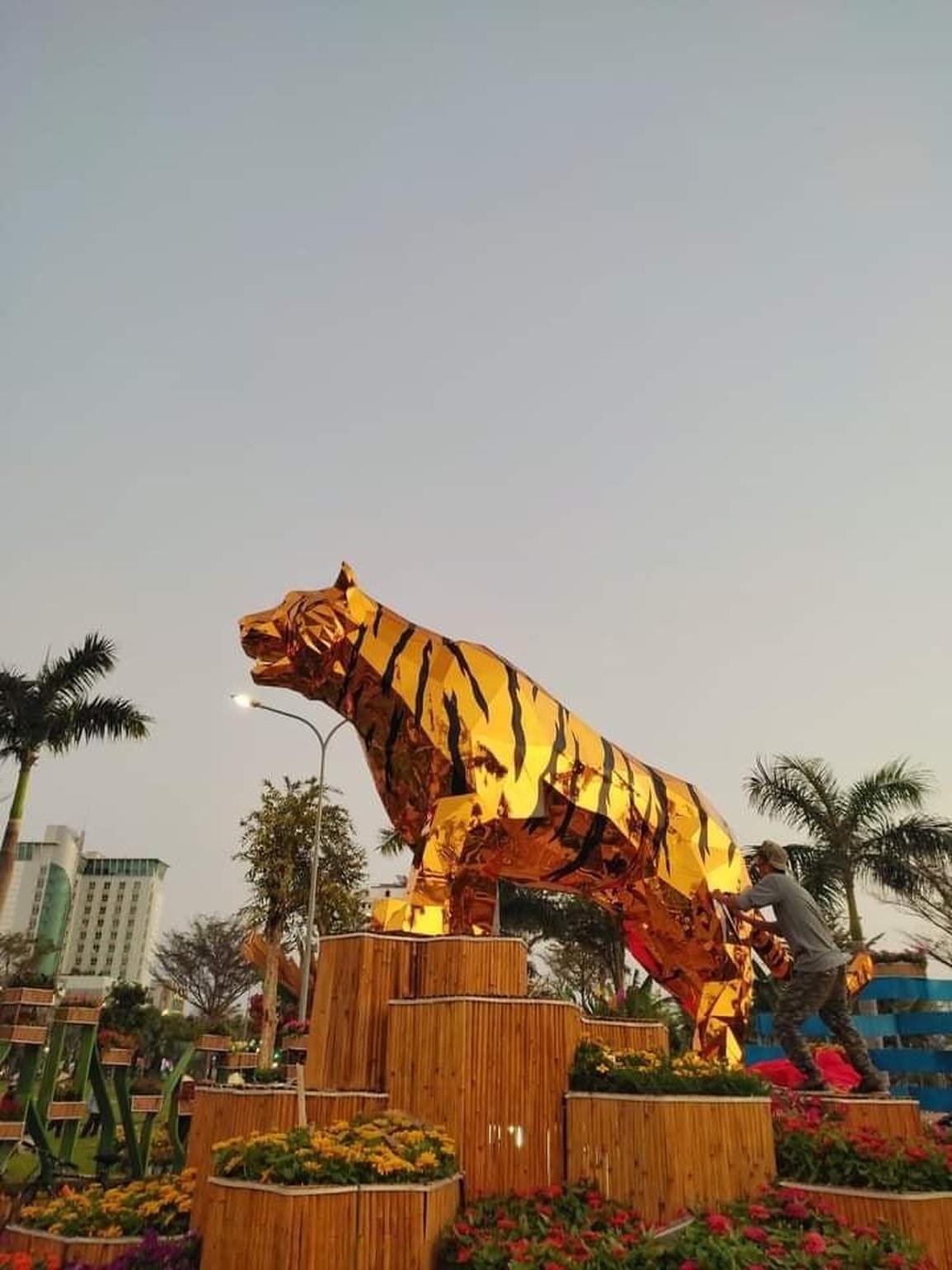 Cuộc tranh hùng của những chú siêu hổ 64 tỉnh thành mùa xuân 2022 - 5 Cuộc tranh hùng của những chú siêu hổ 64 tỉnh thành mùa xuân 2022 - 5