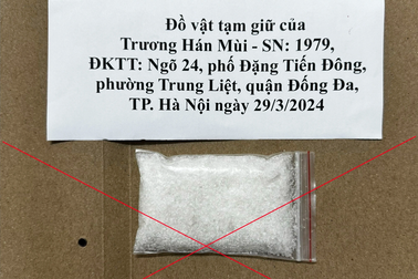 Phá đường dây mua bán ma túy từ Hà Nội về Phú Thọ