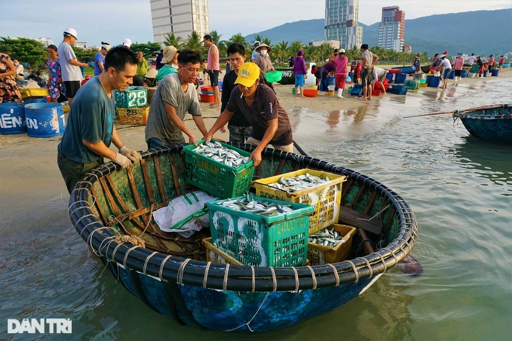 Phiên chợ lúc rạng đông, chỉ bán cá nục tươi - 2 Phiên chợ lúc rạng đông, chỉ bán cá nục tươi - 2