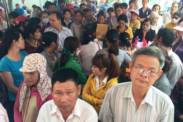 Giấy phép lái xe còn hạn sử dụng: Không ai được xử phạt!