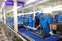 Asanzo đã trốn bao nhiêu tỷ đồng tiền thuế mà bị chuyển hồ sơ cho cảnh sát điều tra?