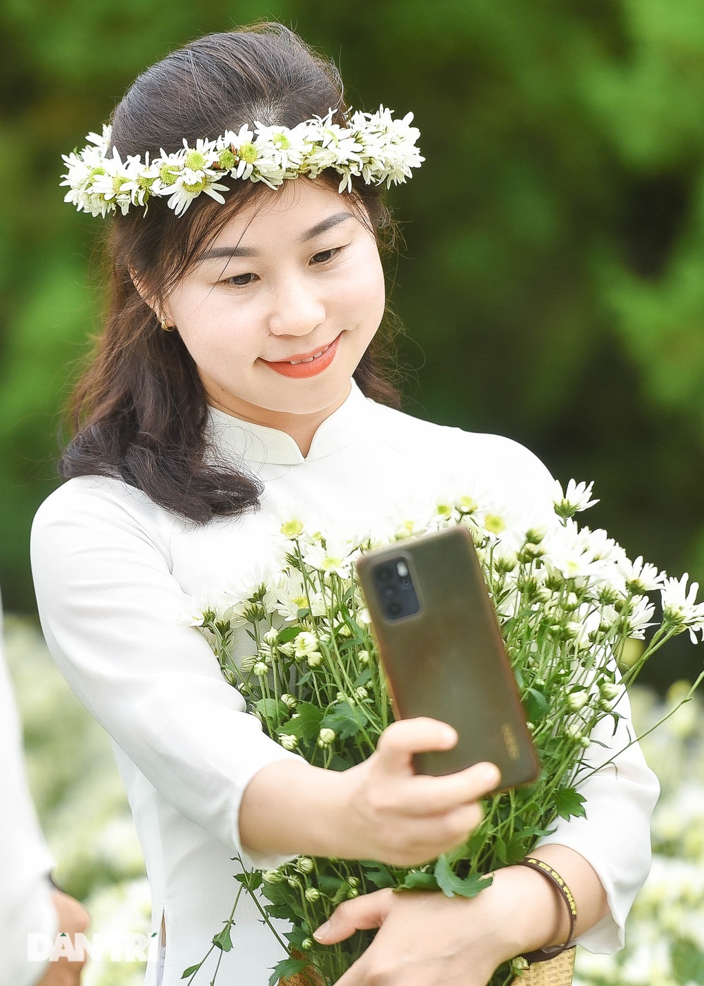 Vườn cúc họa mi thất thủ người dân chen chân chụp ảnh ở Hà Nội - 11