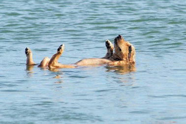 Thư giãn là cả một nghệ thuật!