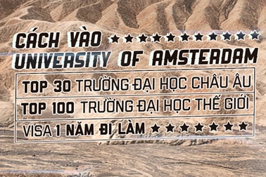 Chương trình du học vừa học vừa làm tại Hà Lan