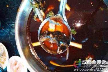 Được đền 3.000USD vì chuột "bơi" trong nồi lẩu