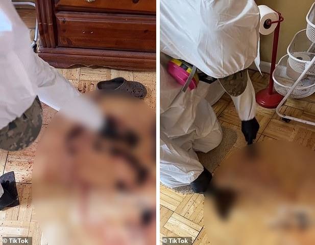 Công việc không ai muốn làm: Chuyên đi dọn dẹp hiện trường án mạng - 2 Công việc không ai muốn làm: Chuyên đi dọn dẹp hiện trường án mạng - 2